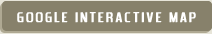Google Interactive Map