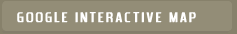 Google Interactive Map
