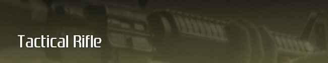 Civilian Tactical Rifle