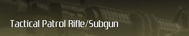 Tactical Patrol Rifle/Subgun