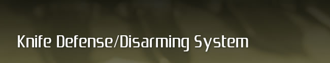 Knife Defense/Disarming System